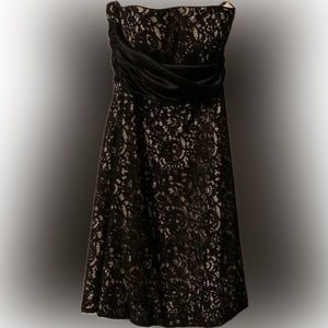 Beautiful Black Lace Strapless Nude Peek-a-boo Slip Dress